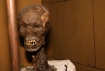 Wystawa Klatwa Faraonow-Tajemnice Starozytnego Egiptu 
Gdansk 3.01.2008 
N/z szkielet w grobowcu faraona
