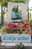 W drug rocznic mierci Marka Grechuty na cmenatarzu Rakowickim w Krakowie przy pomniku artysty zasadzono dzikie wino. W uroczystoci uczestniczya Danuta Grechuta (ona artysty).