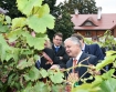 Prezydent RP Lech Kaczyski zoy wizyt w Zielonej Grze, a nastpnie przenis si do  podzielonogrskiego Grzykowa na spotkanie z winiarzami. 

n/z prezydent zwiedza winnic