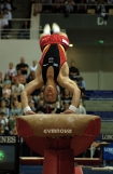 Fabian Hambuechen (Niemcy) - brazowy medalista w wieloboju oraz w skoku.