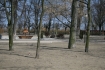 Park im Lecha Kaczynskiego