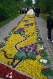 Kwiatowe dywany w Spycimierzu