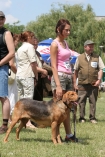 XI Midzynarodowa Wystawa Psw Rasowych - International Dog Show (CACIB) Krakw 23-24.06.2007