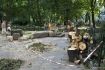 Skutki nocnej burzy nad Krakowem 24.08.2007 r. n/z poamane drzewa na krakowskich plantach