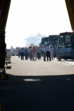 Autobusy oczekujce na pasaerw schodzcych z Navigator of The Seas w tle Star Princess