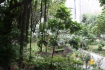 Hong Kong ogrody w miecie