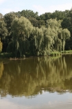 Widok na jeziorko w ogrodzie za zamkiem w Krniku