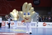 15.01.2016, Krakow Cracow, Mistrzostwa Europy w Pilce Recznej, 12th Men's European Handball Championship, n/z Francja - Macedonia  High Five - maskotka