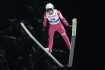 22.01.2016, Zakopane Puchar Swiata w skokach narciarskich, FIS Ski Jumping World Cup, duza skocznia, large hill n/z Piotr Zyla POL