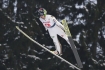 23.01.2016, Zakopane Puchar Swiata w skokach narciarskich, FIS Ski Jumping World Cup, duza skocznia, large hill n/z Robert Kranjec SLO